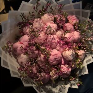 Meet your Posher, Laila